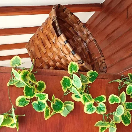 بيت للعطل Centrico Costero En