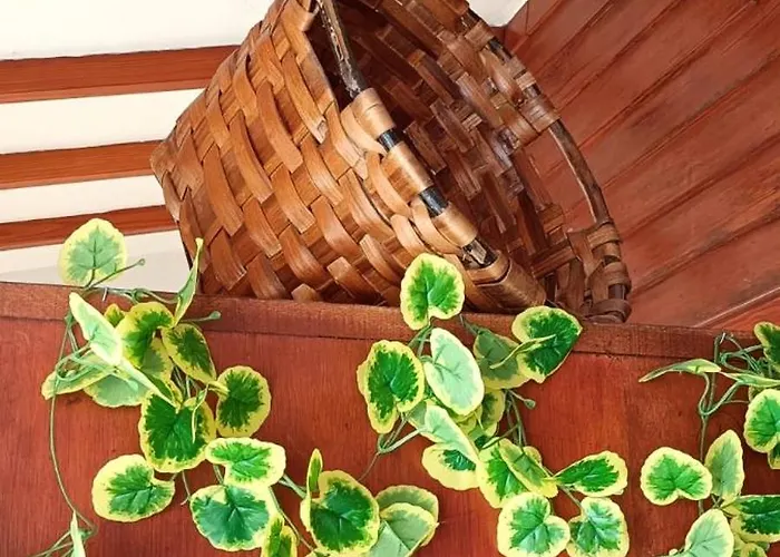 Nyaraló Centrico Costero En