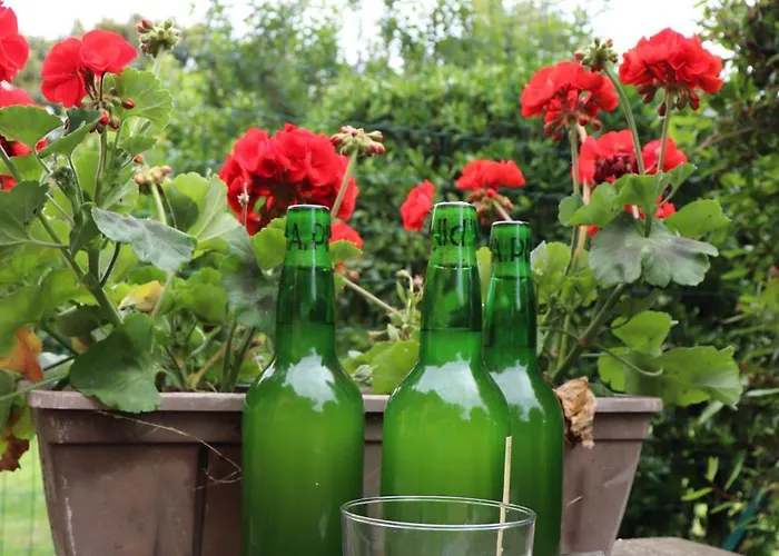 Centrico Costero En Gijón